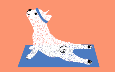 7 ideas para poner a tu perro en forma