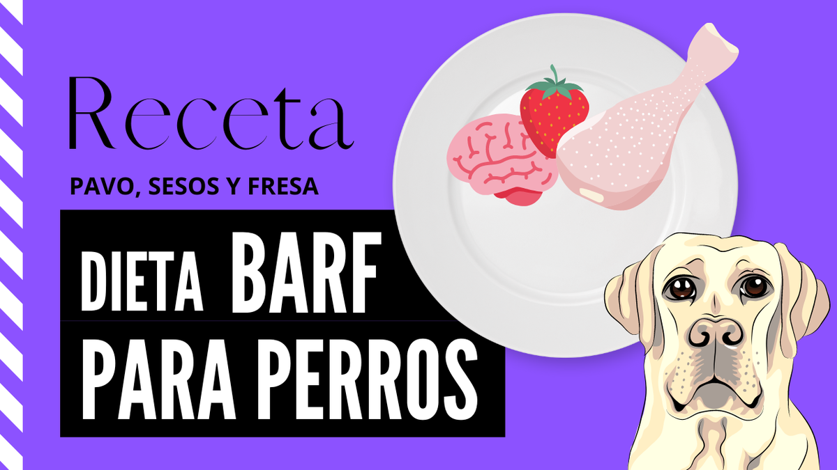 receta barf pavo perros