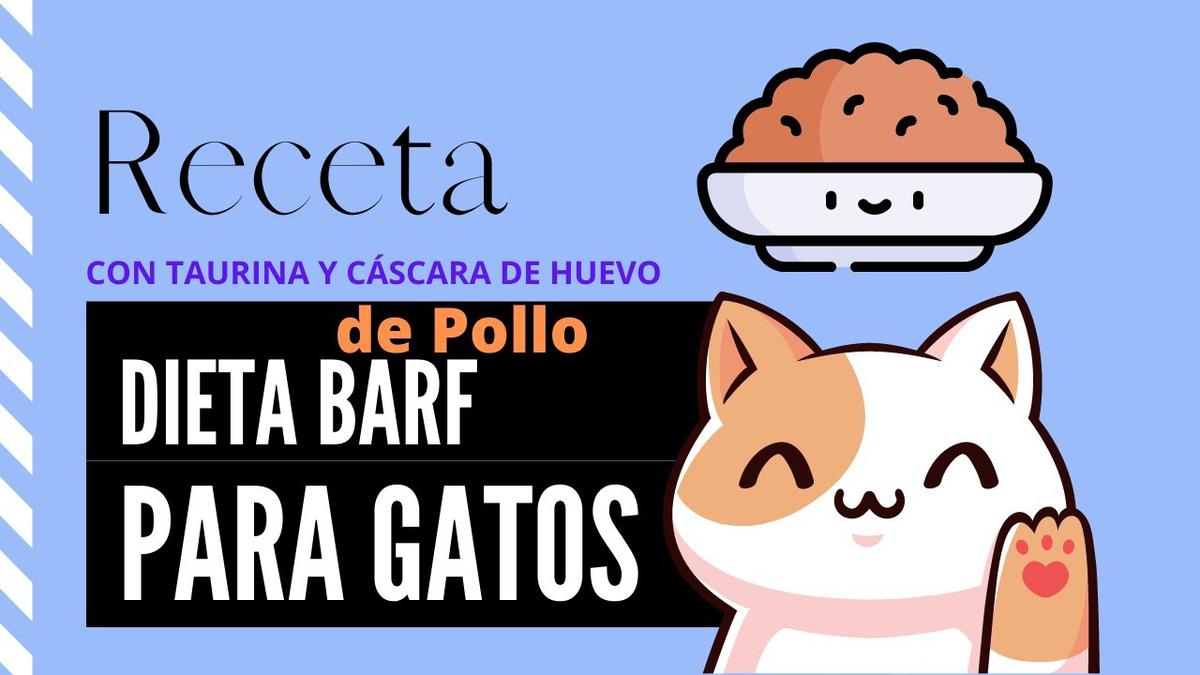 ejemplo dieta barf gato