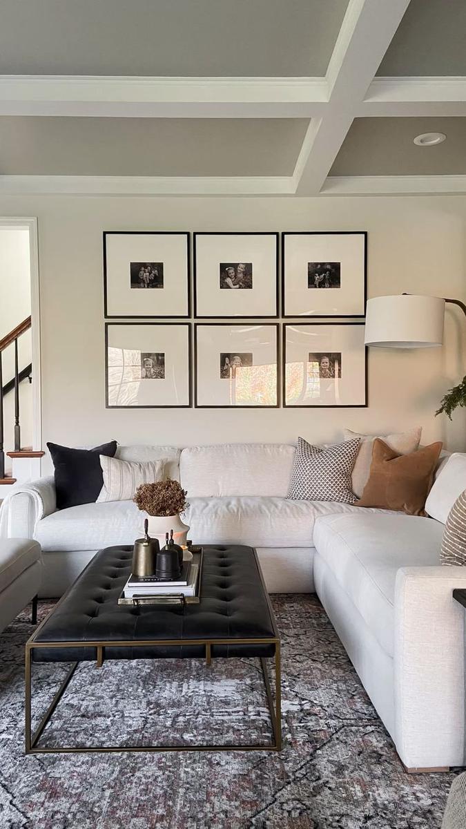 Diferentes estilos de salas de estar 