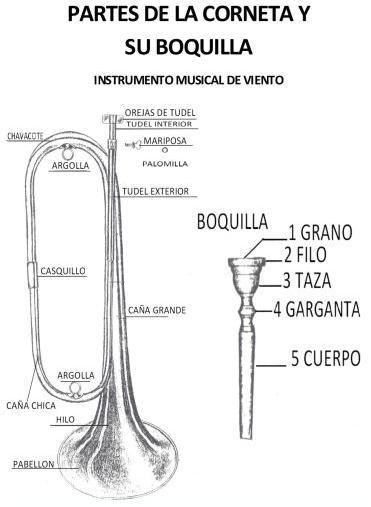 corneta estructura