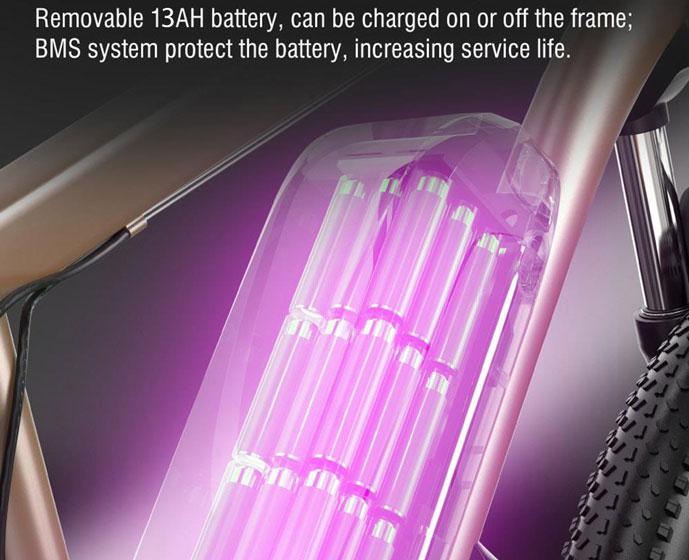 X-TRON C29 - Batería