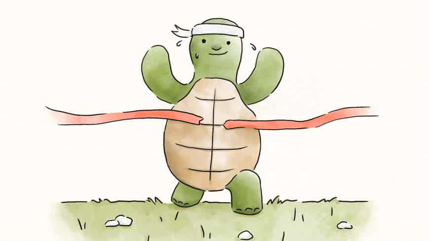 La carrera de los animales