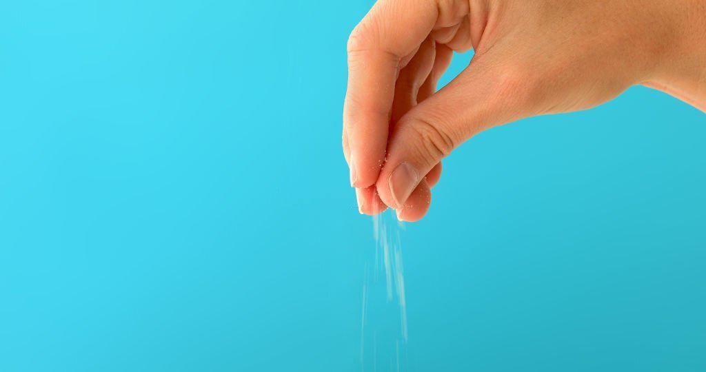 comida cocinada natural para perros