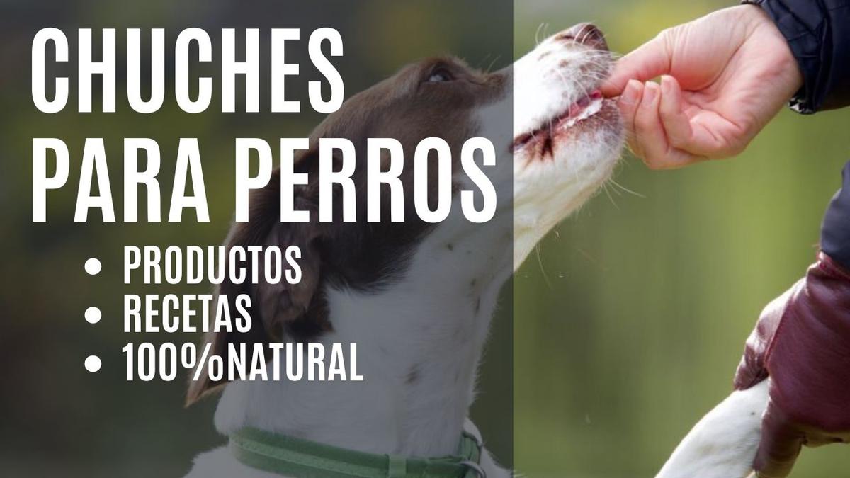 Chuches para Perros 100% Naturales | Mascotas