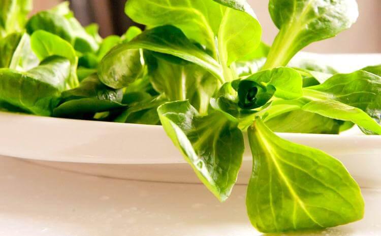 Cenas de picoteo, ensalada de canónigos