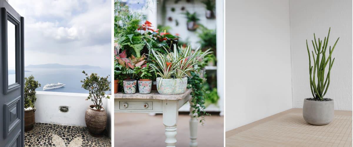 Los maceteros tambi&eacute;n importan y mucho