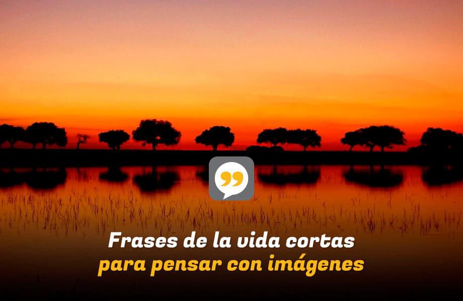 Frases de la vida cortas para pensar con imágenes