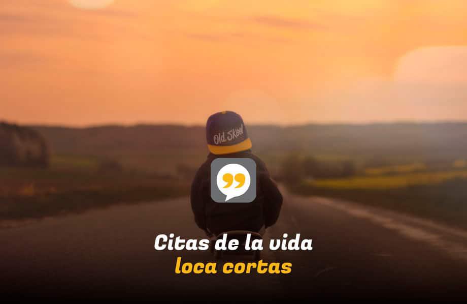 Citas de la vida loca cortas