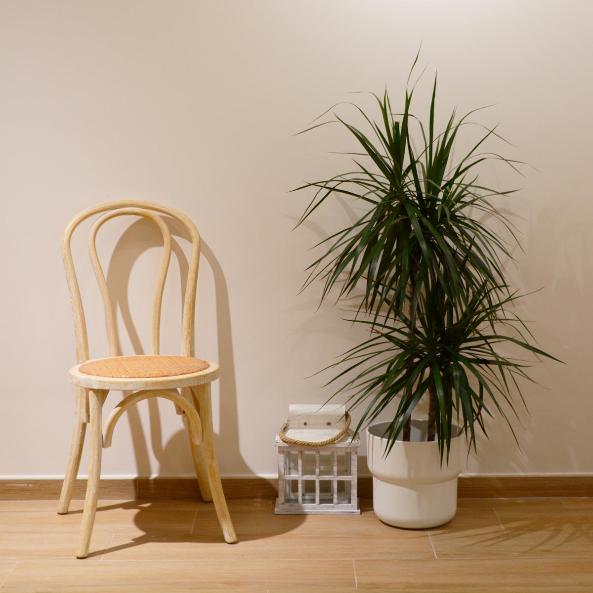 Qué silla de comedor elegir