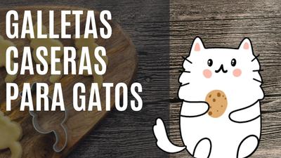 3 Recetas de galletas para gatos y gatitos | Mascotas