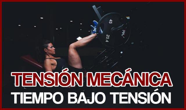 mecanismos para la hipertrofia - tension mecanica y tiempo bajo tension
