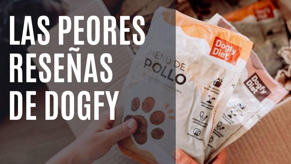 reseñas dogfy