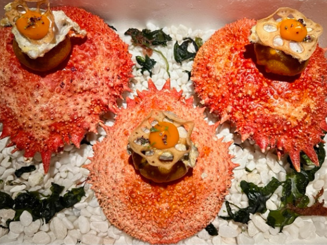 El quirófano de las emociones. RavioXO