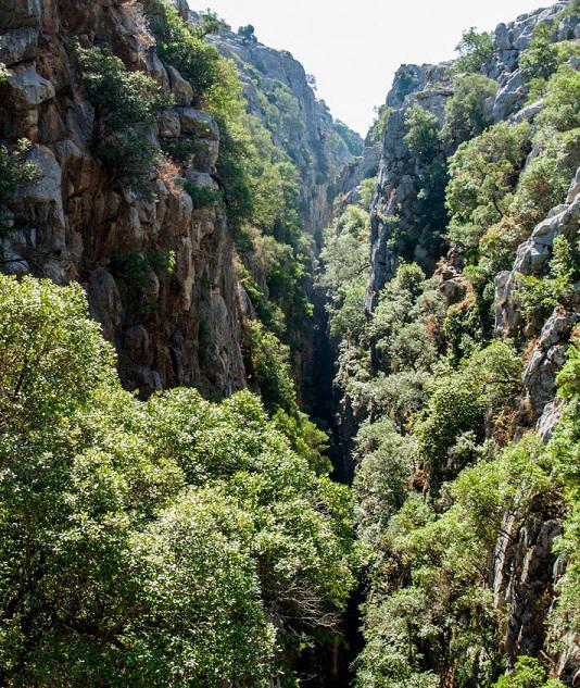 Que ver en Cañón de las Buitreras