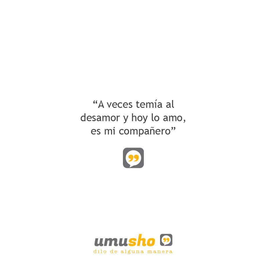 A veces temía al desamor y hoy lo amo, es mi compañero