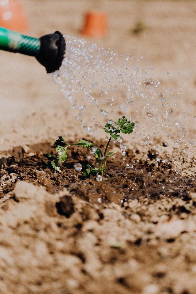 La huella hídrica de los alimentos - Uso de agua en la producción de alimentos