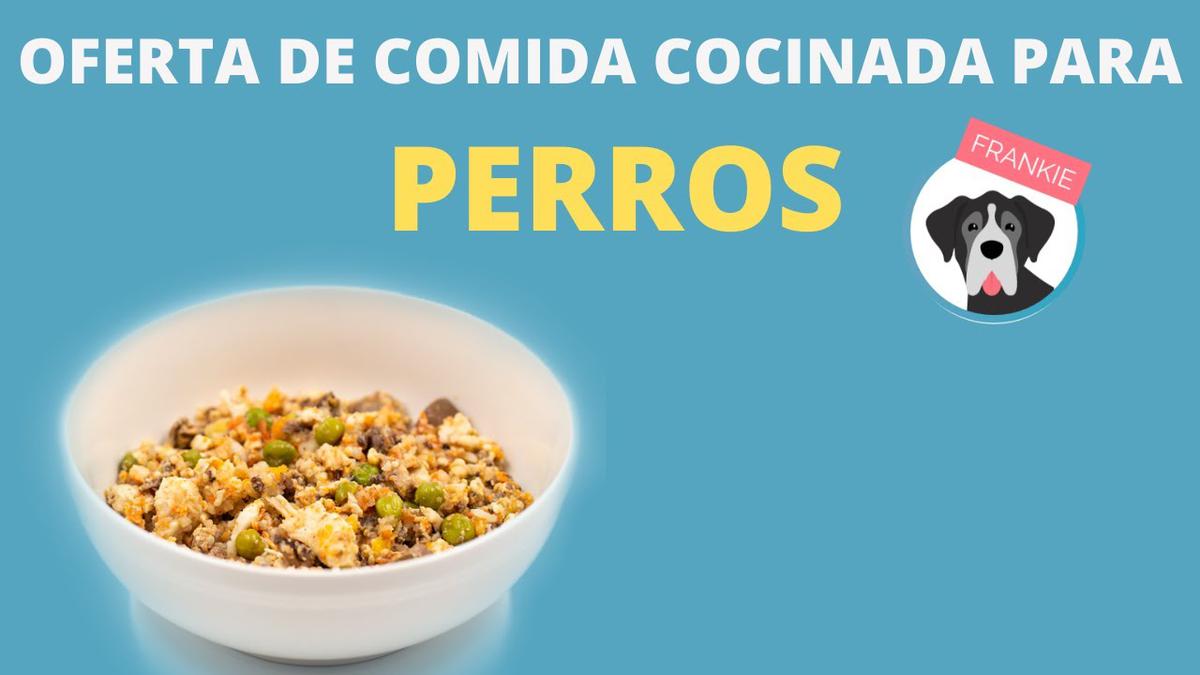 caja mensual comida frankie the king