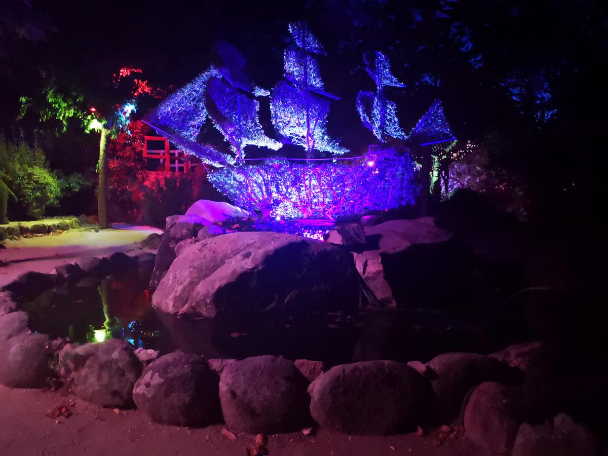 Bosque Encantado Madrid