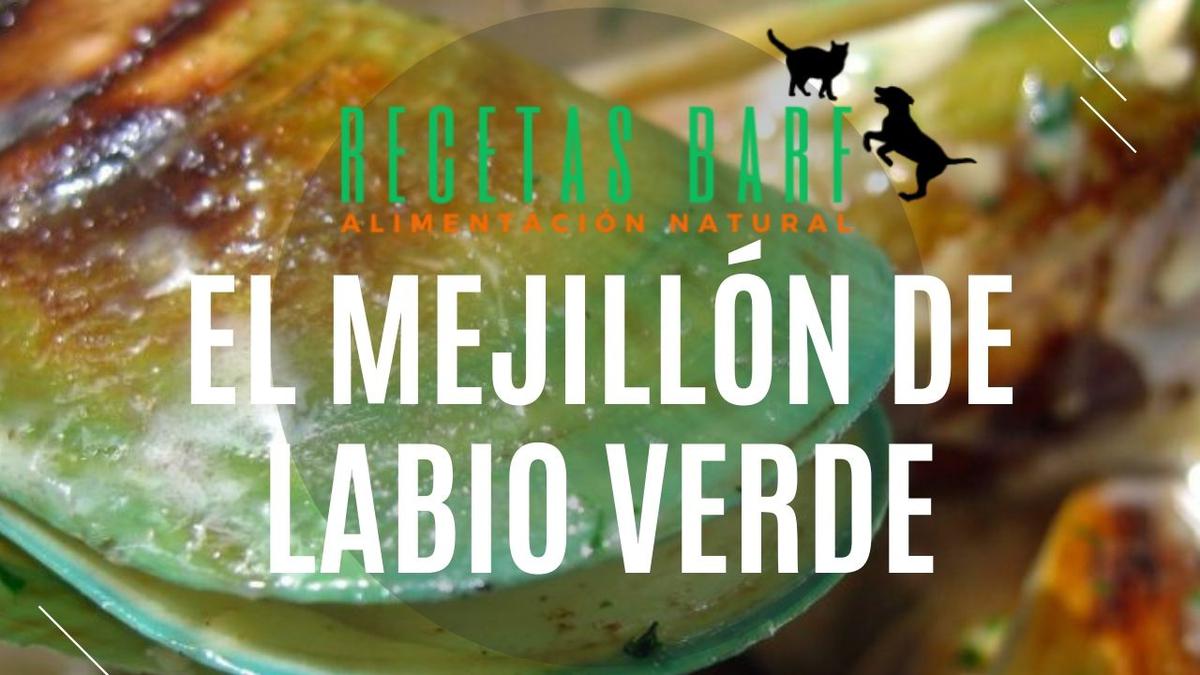 mejillon labio verde