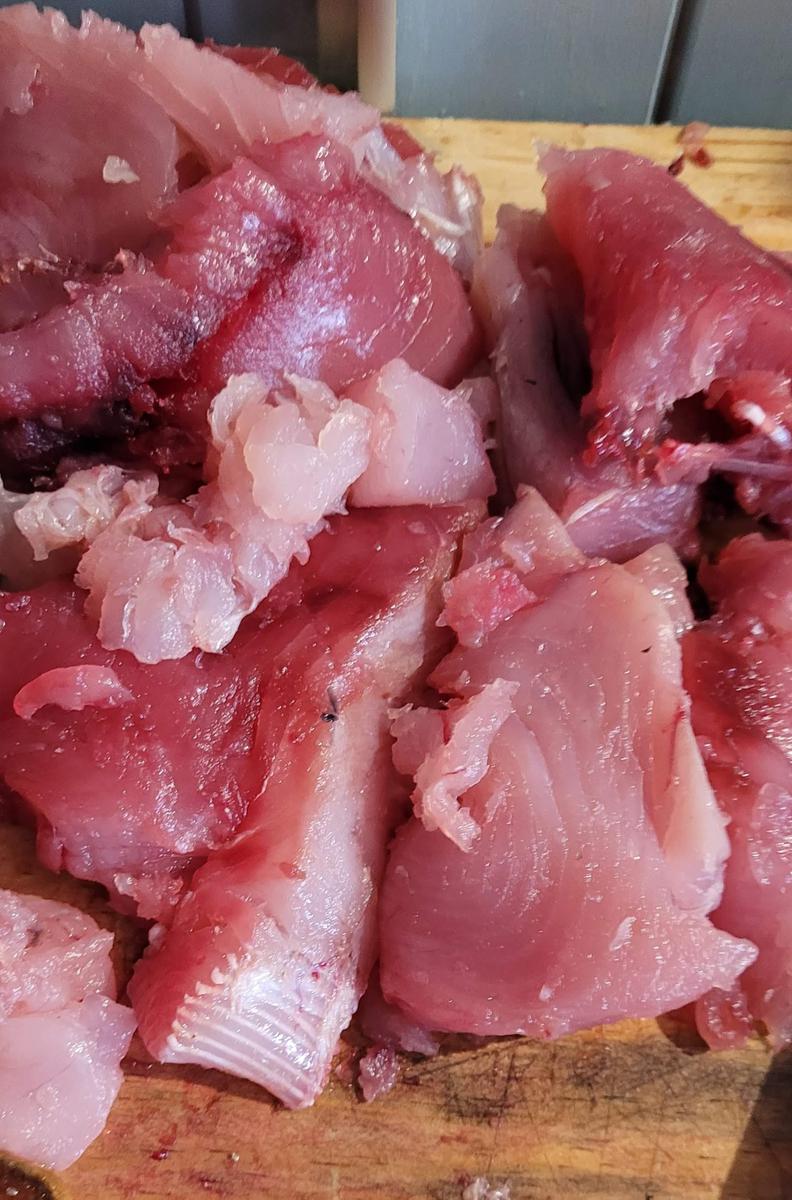 Bonito con cebolla y pimiento