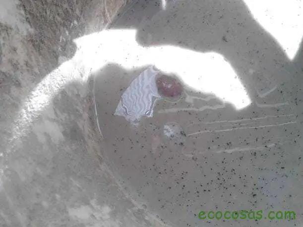 IMG_20140930_124314ecocosas