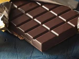 Que no dar de comer que un perro