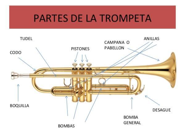 trompetas en oferta