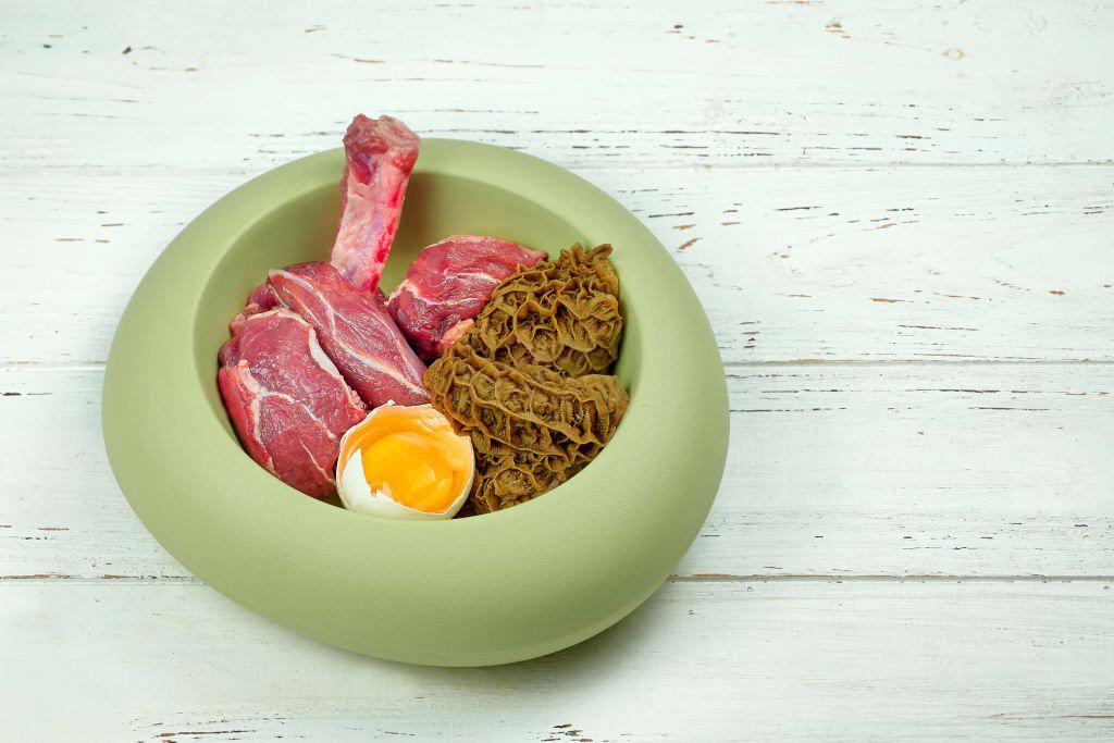 comida grain free para gatos