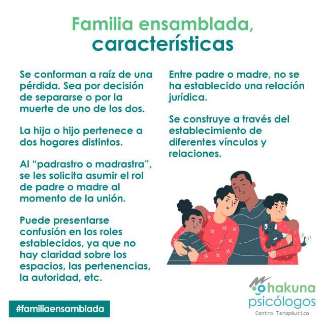 Familia ensamblada, características