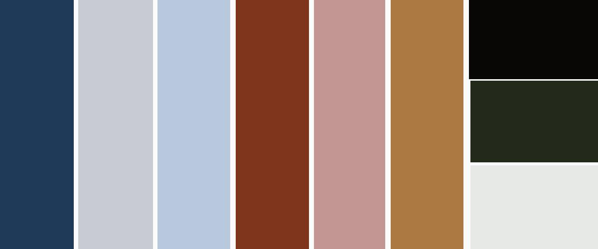 Paleta de color para un salón azul