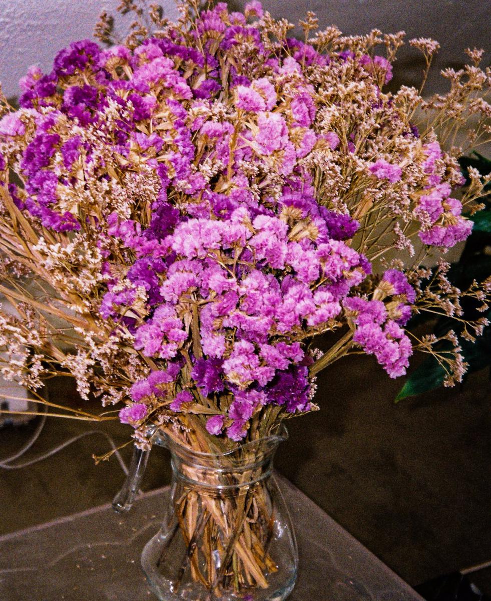 Flores secas: el toque de otoño para decorar que tú puedes hacer en casa 1