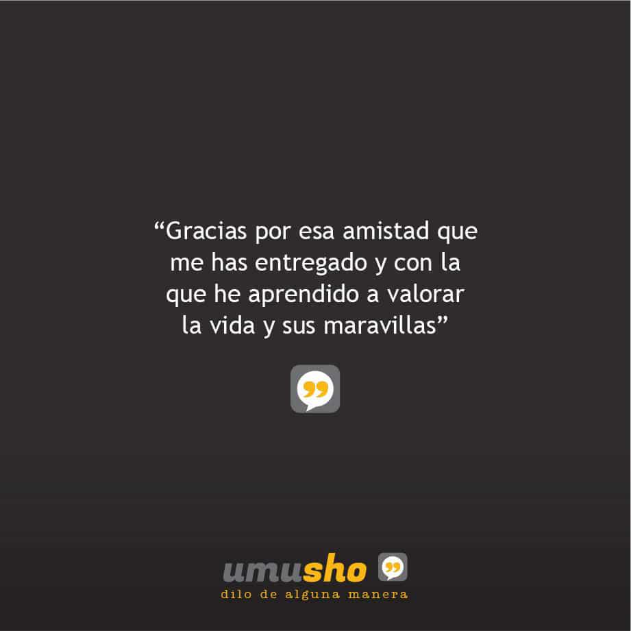 Gracias por esa amistad que me has entregado y con la que he aprendido a valorar la vida y sus maravillas.