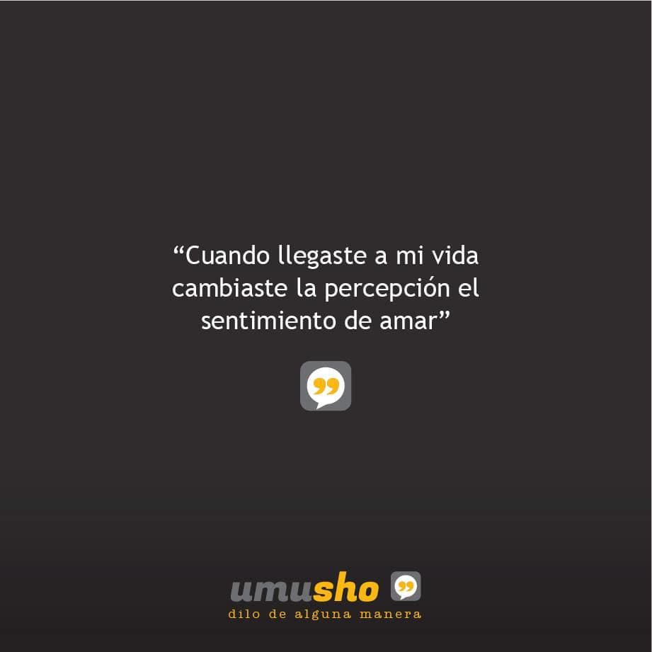 Cuando llegaste a mi vida cambiaste la percepción el sentimiento de amar.