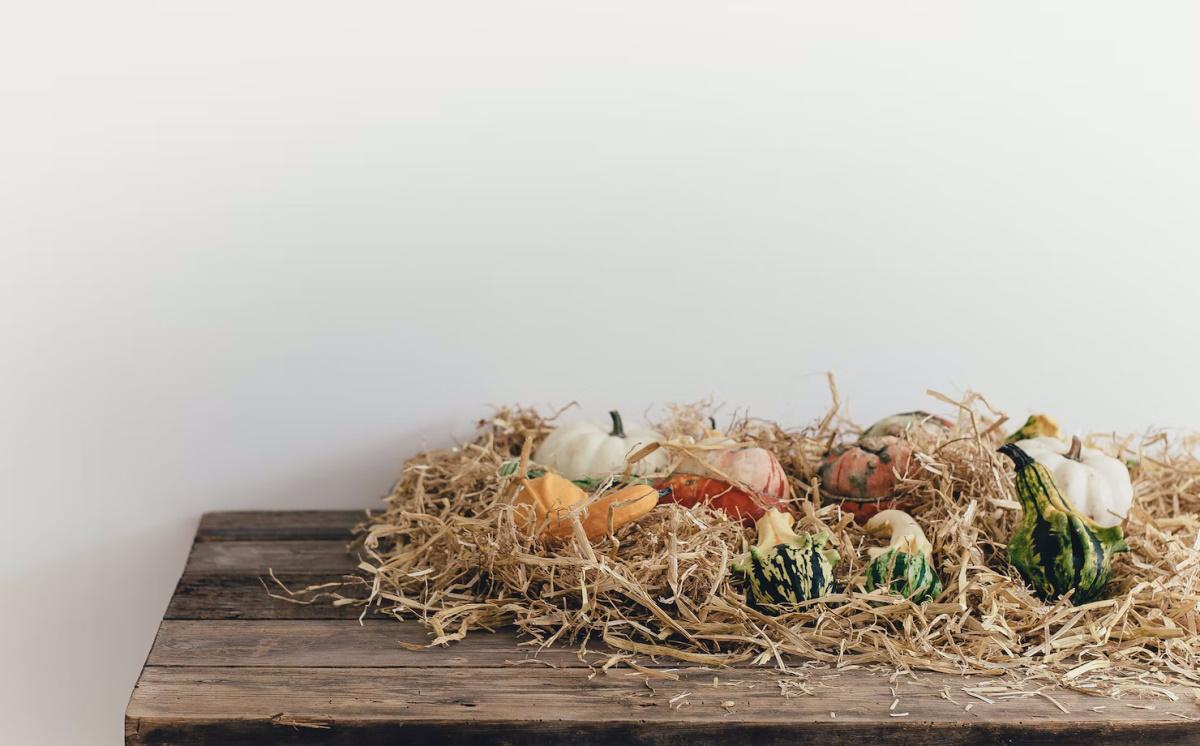 Inspiración: ideas fantásticas para decorar en otoño que se hacen en un 2x3 8