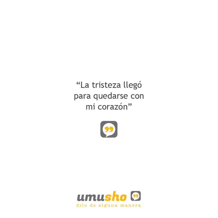 La tristeza llegó para quedarse con mi corazón. - Frases tristes con imágenes
