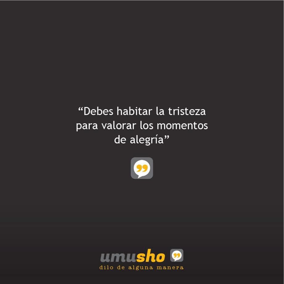 Debes habitar la tristeza para valorar los momentos de alegría. - Frases tristes con imágenes