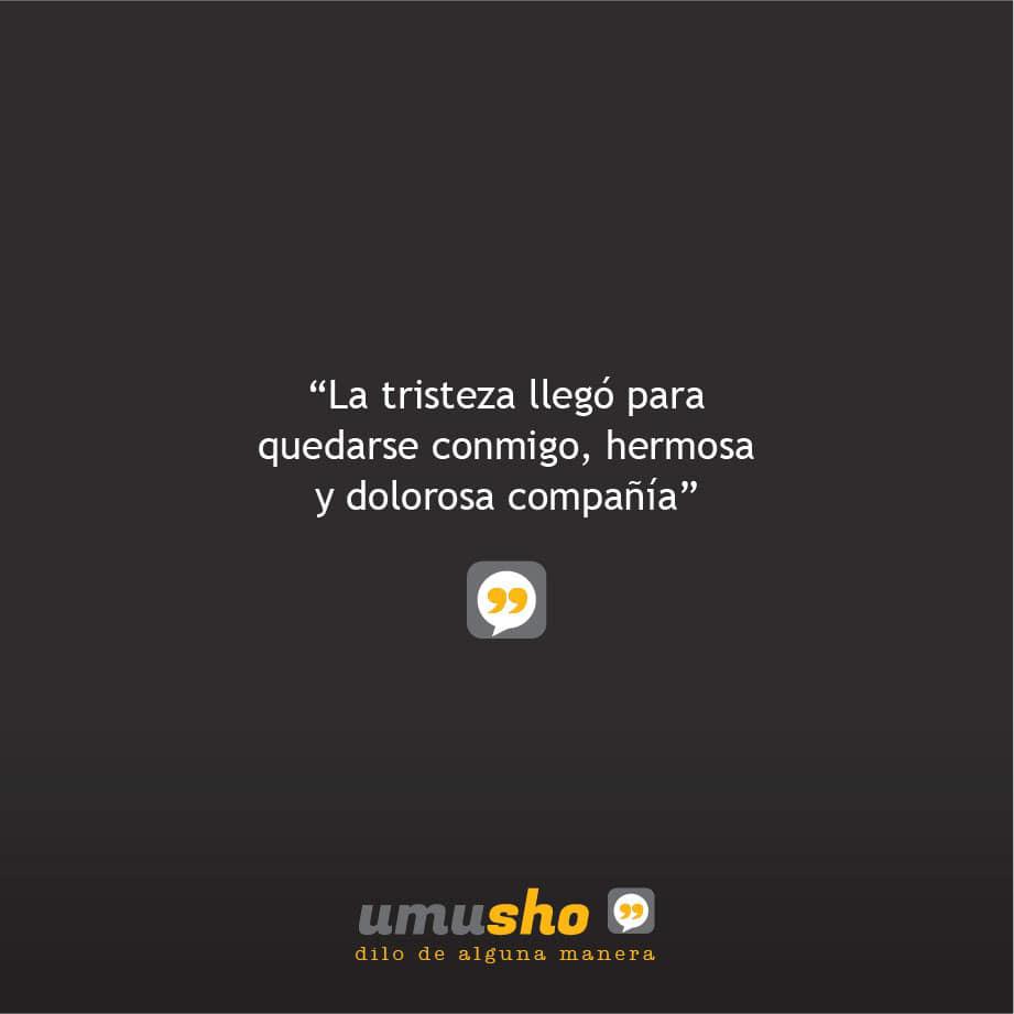 La tristeza llegó para quedarse conmigo, hermosa y dolorosa compañía.