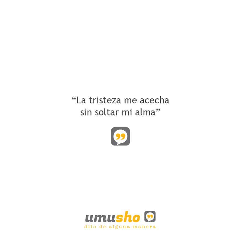 La tristeza me acecha sin soltar mi alma.