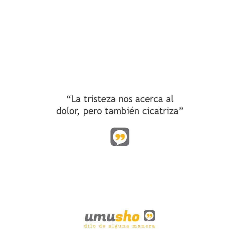La tristeza nos acerca al dolor, pero también cicatriza - Frases tristes con imágenes