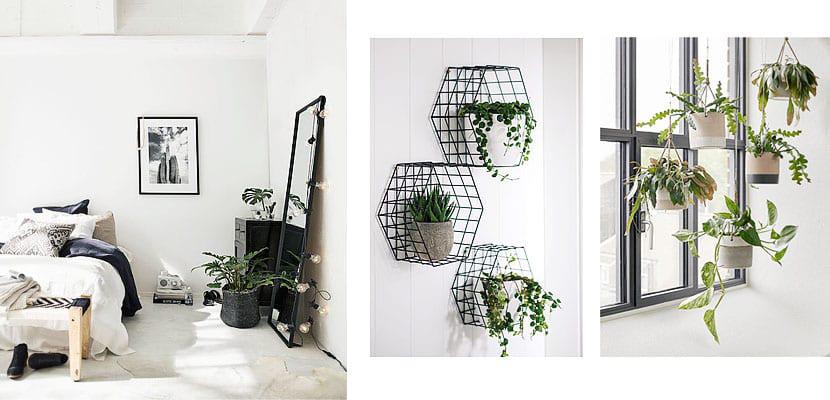 Decorar con plantas el dormitorio