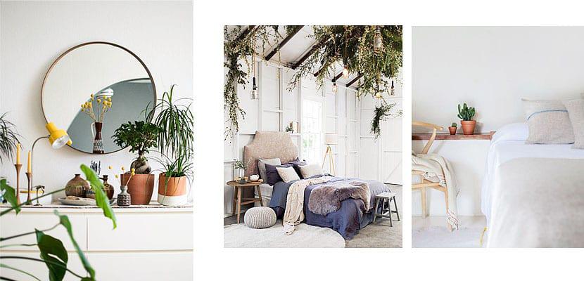 Decorar con plantas el dormitorio