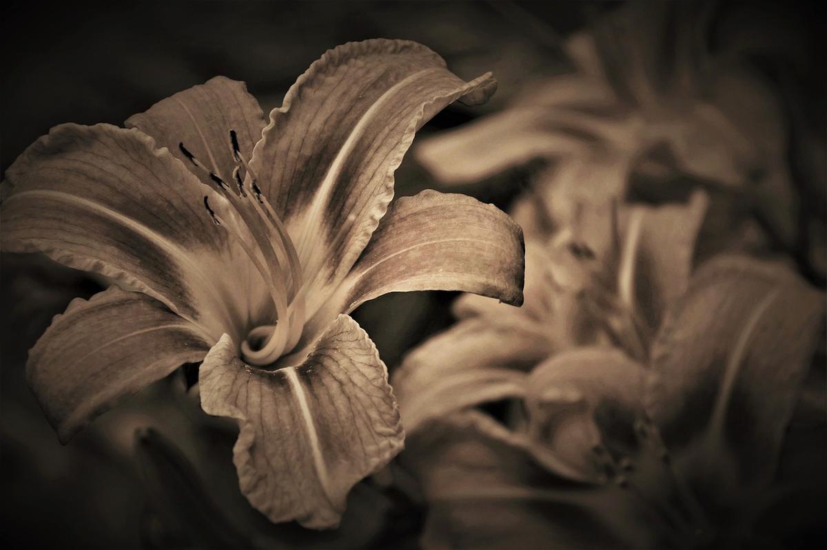 Depresión por muerte de una madre o padre: cómo se puede superar