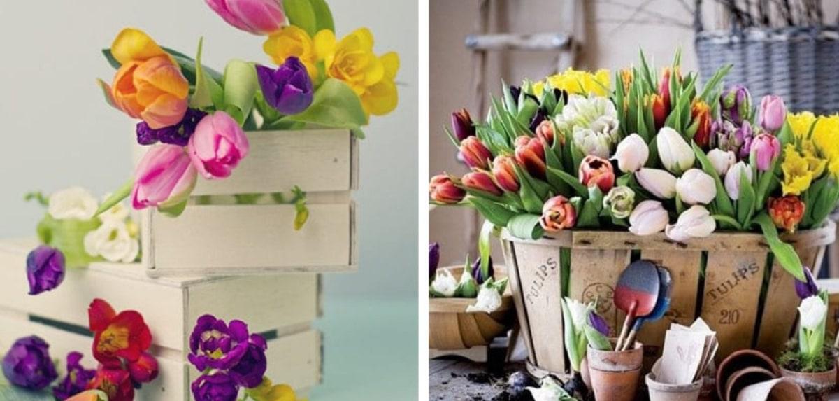 Cajas de madera para tulipanes
