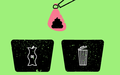 ¿Dónde tirar la caca de perro?