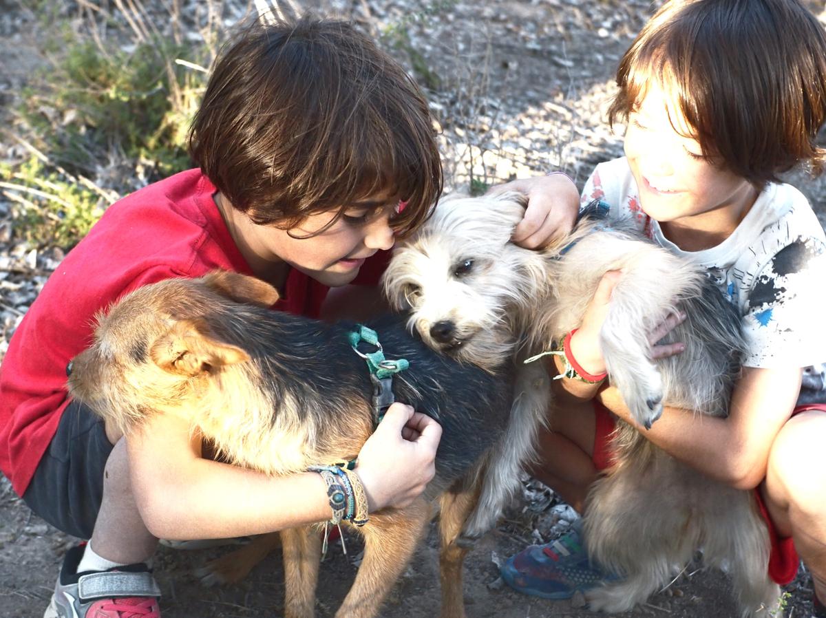 Niños jugando con unos perritos cariñosamente
