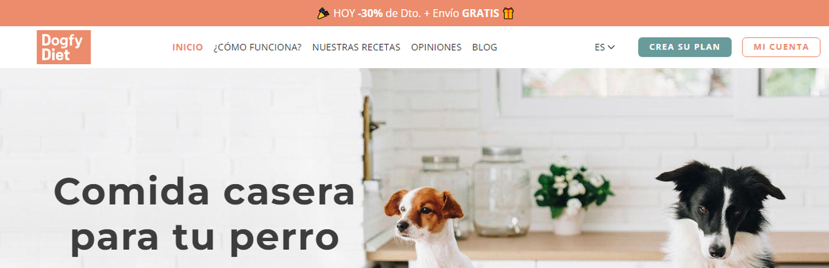 dogfy descuento