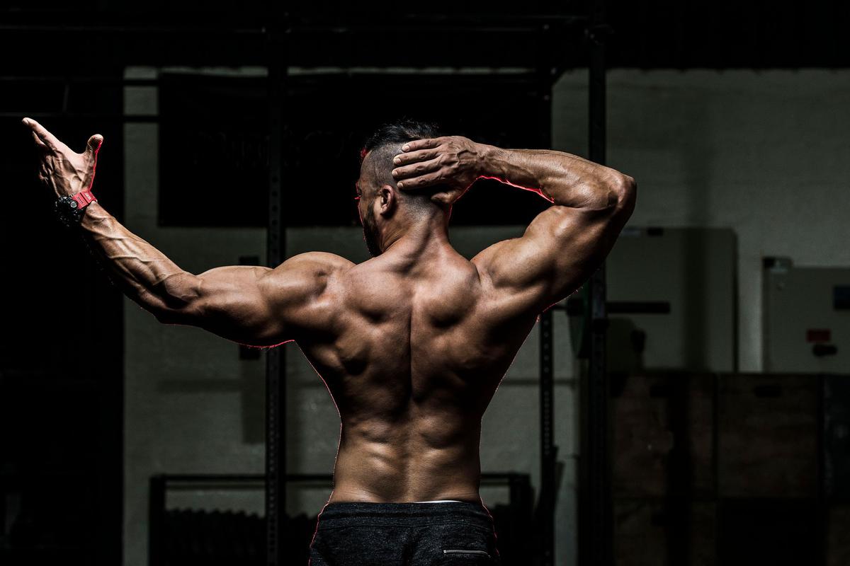 Los 5 mejores ejercicios para desarrollar músculos de la espalda y bíceps más grandes