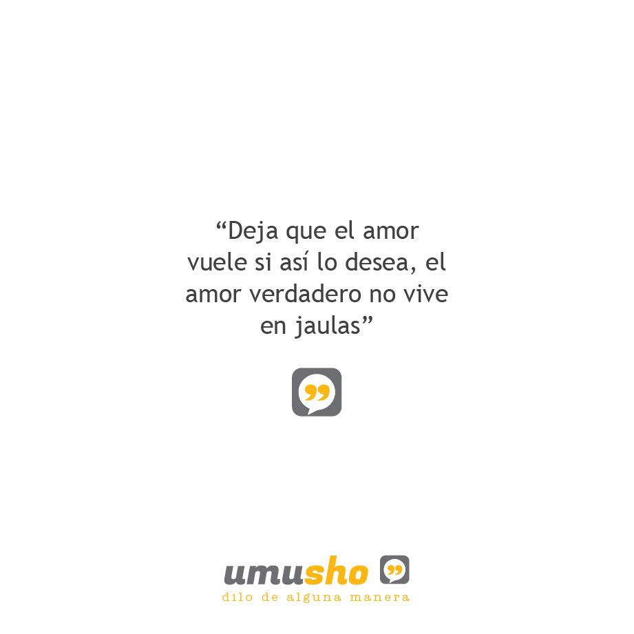 Deja que el amor vuele si así lo desea, el amor verdadero no vive en jaulas.
