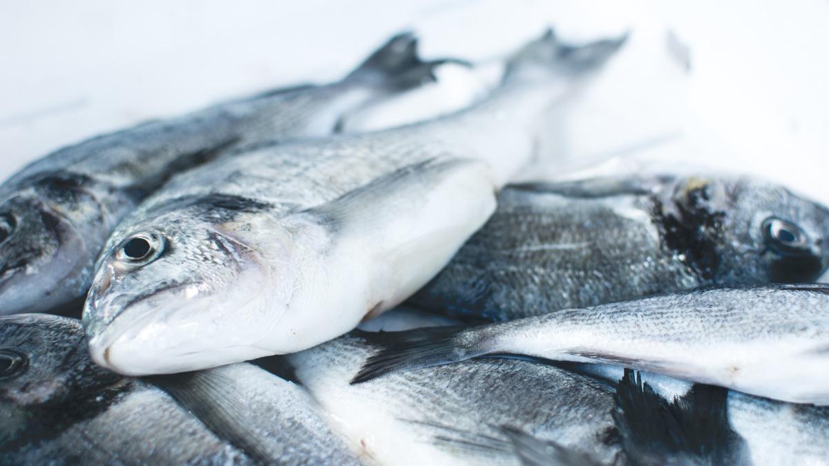 dorada a la sal